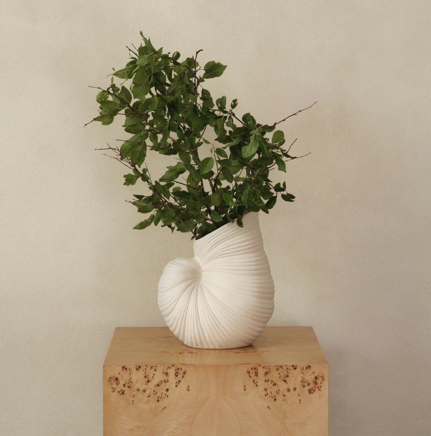 Shell Pot and Vase by ferm LIVING