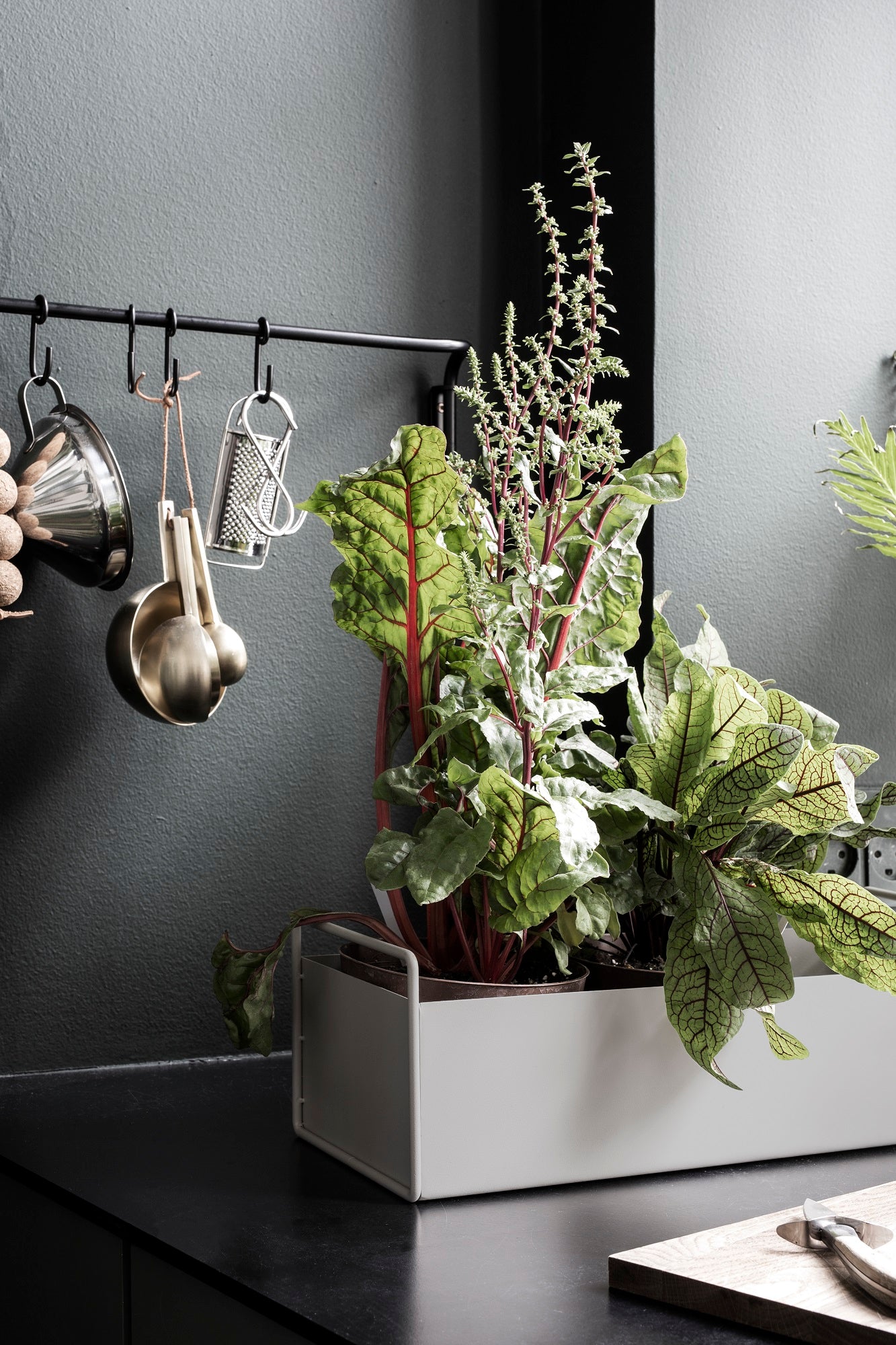 Plant Box - Small by ferm LIVING
