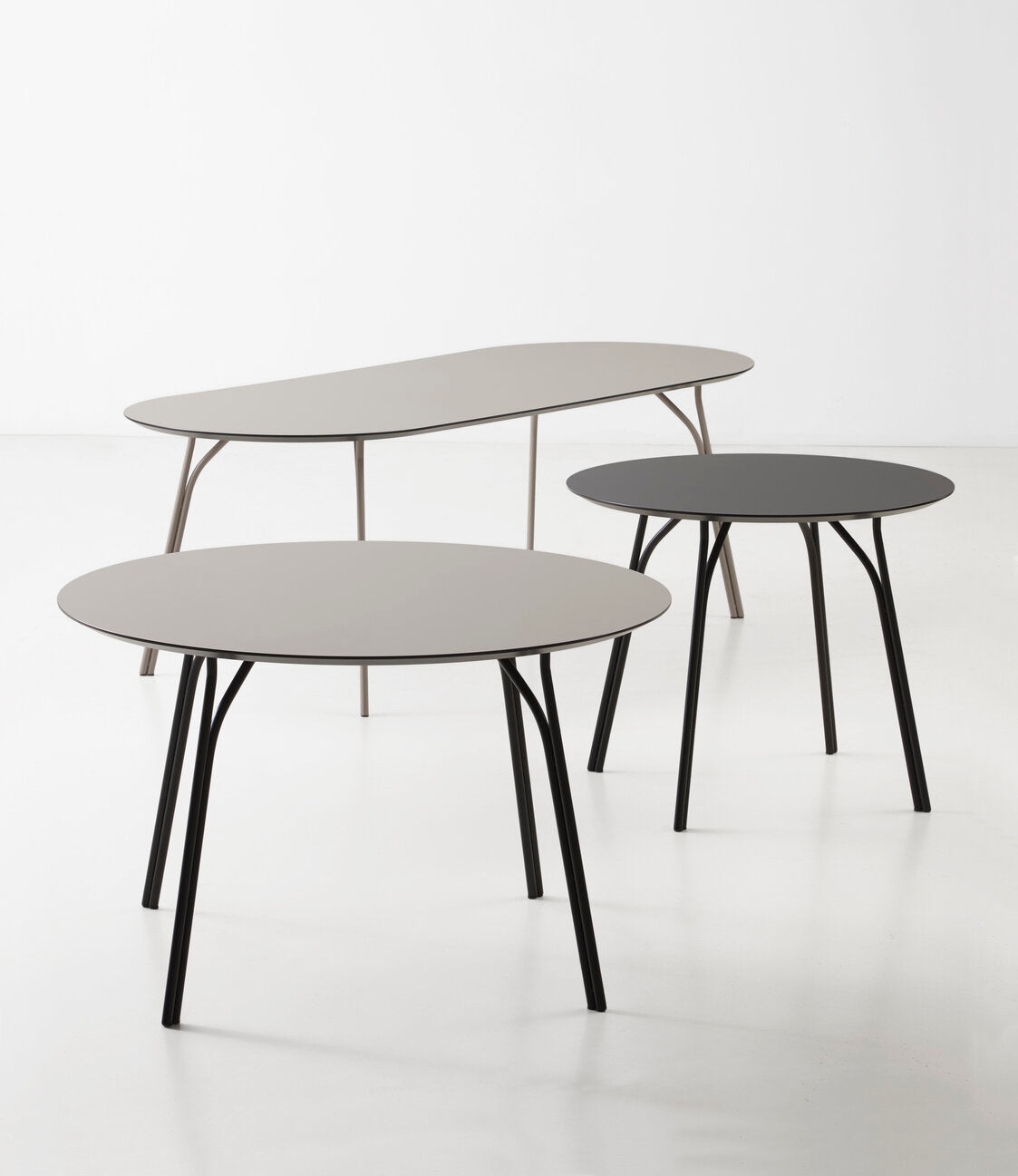 Tree Table - Oval by Woud