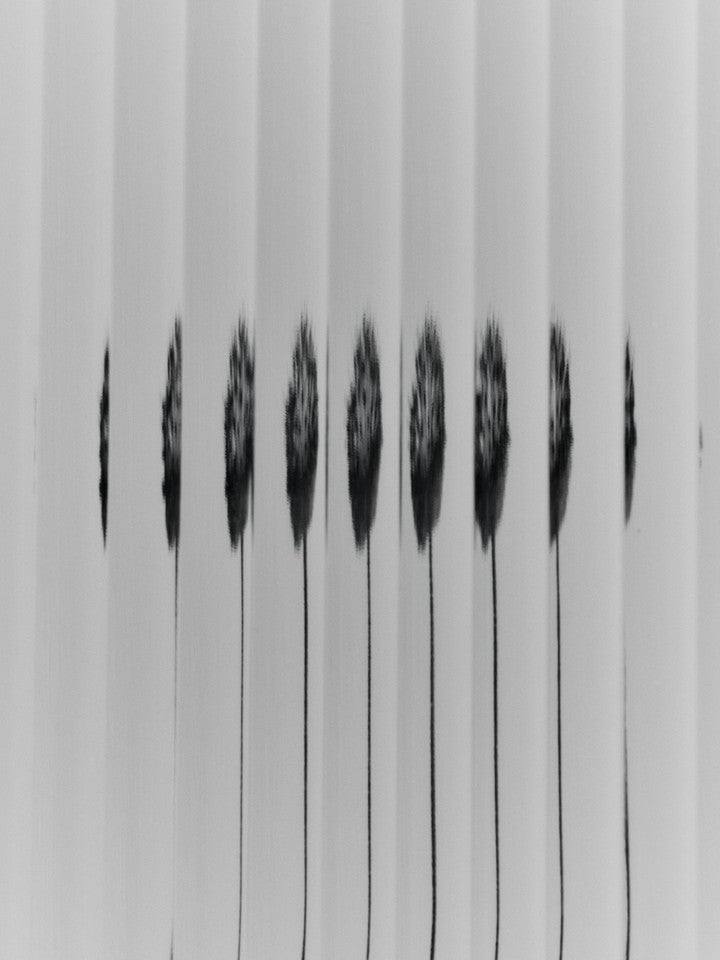 Haze Wall Cabinet by ferm LIVING