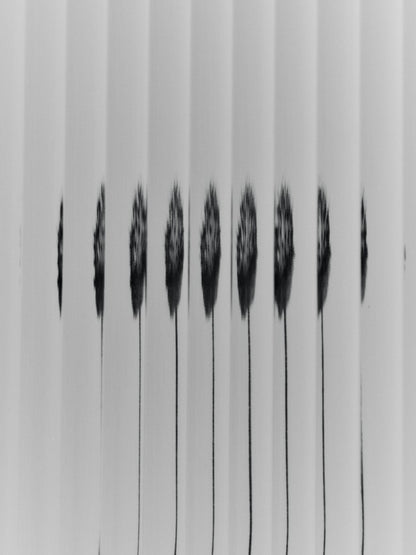 Haze Wall Cabinet by ferm LIVING