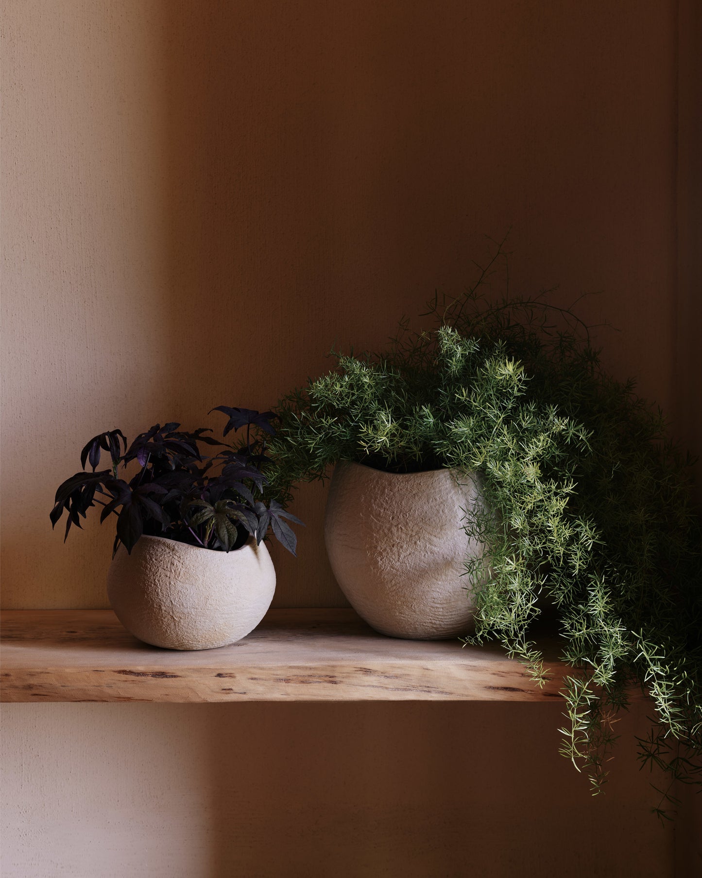 Plantas Planter by Audo CPH