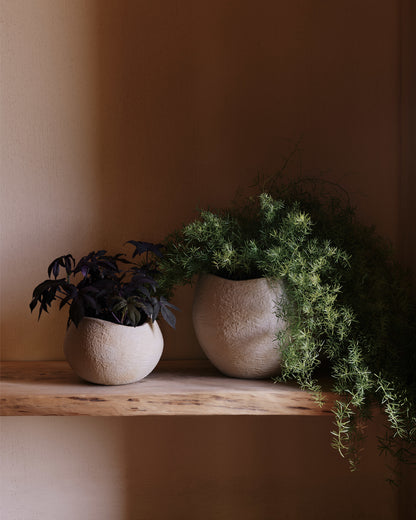 Plantas Planter by Audo CPH