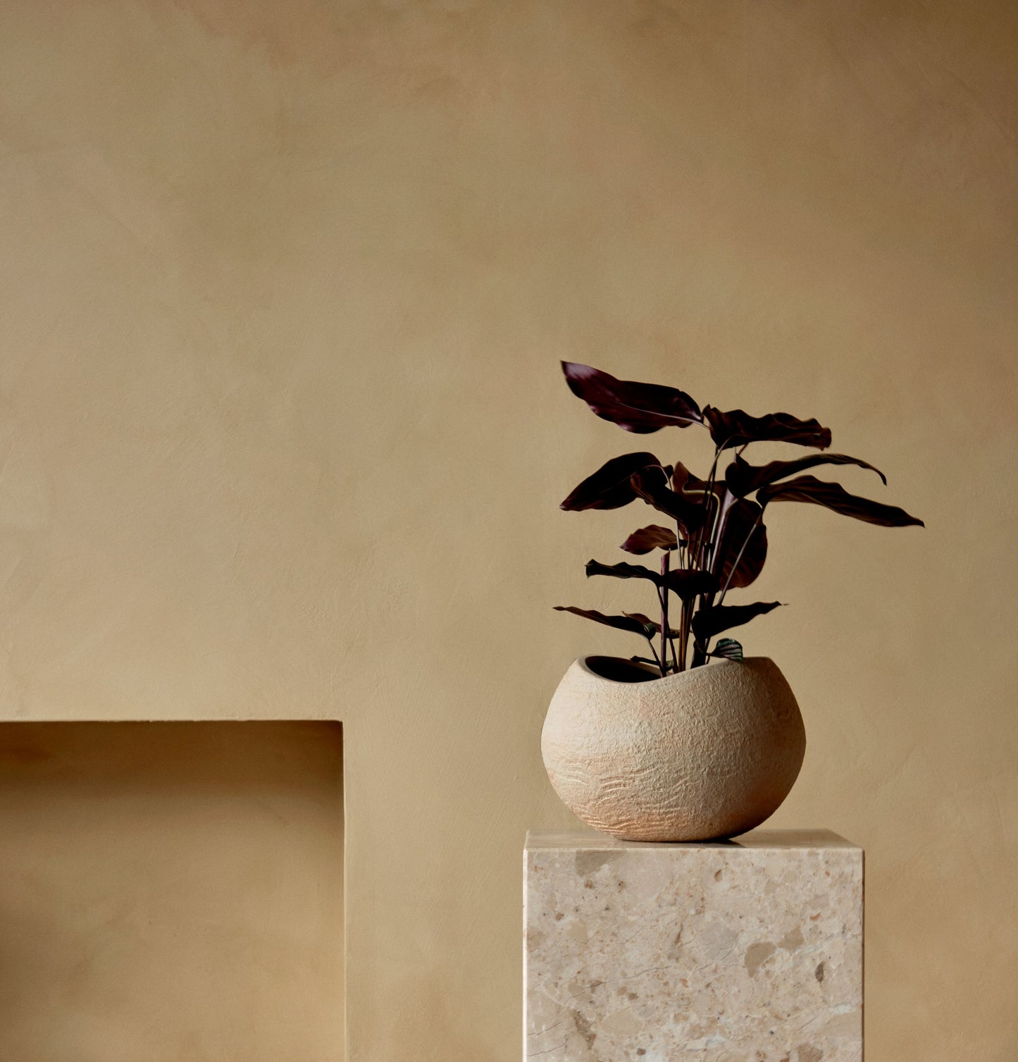 Plantas Planter by Audo CPH