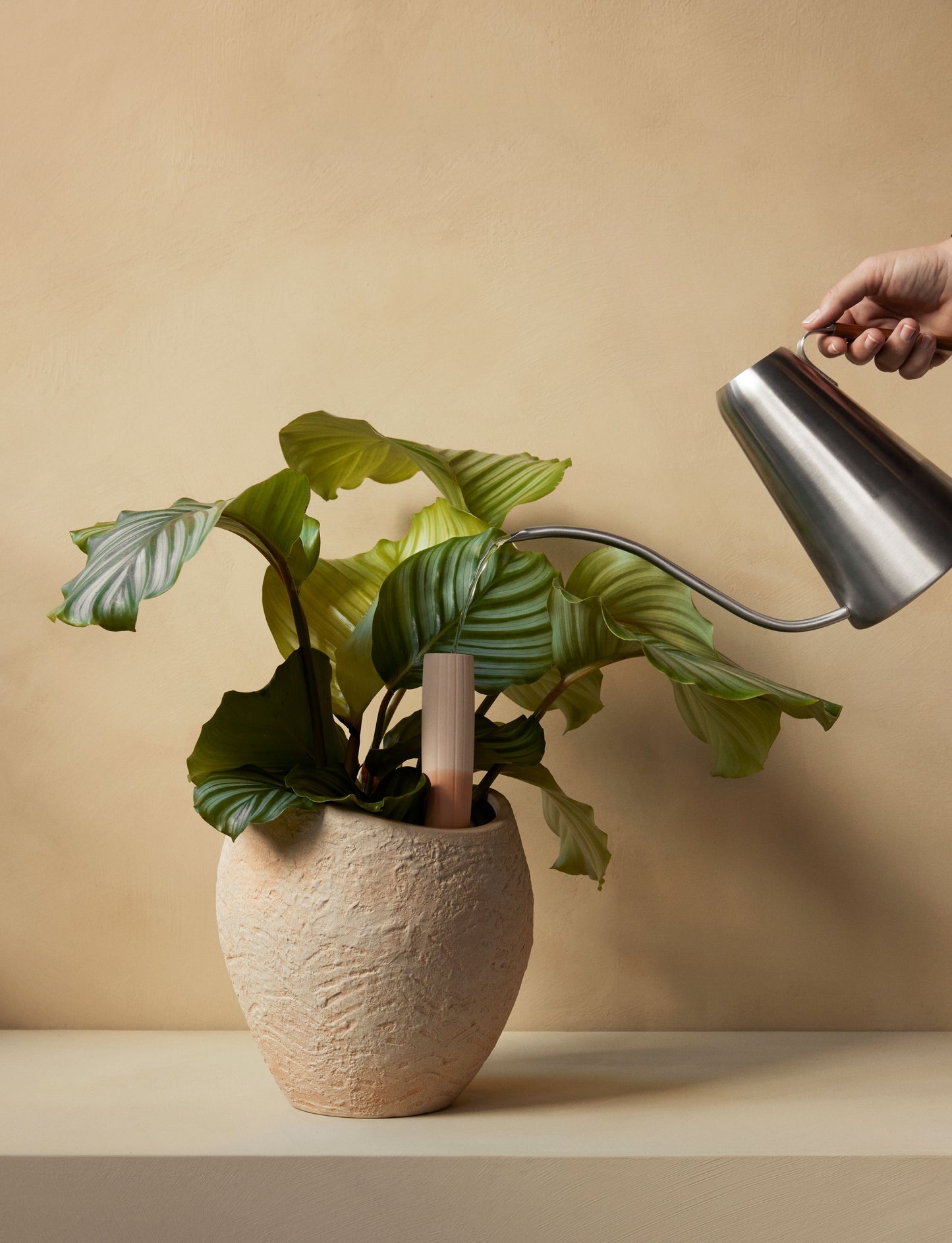 Plantas Planter by Audo CPH