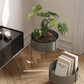 Pidestall Planter (Medium) by Woud
