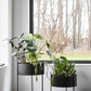 Pidestall Planter (Medium) by Woud