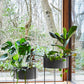 Pidestall Planter (Medium) by Woud