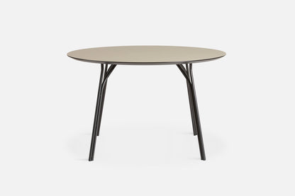 Tree Table - Large by Woud
