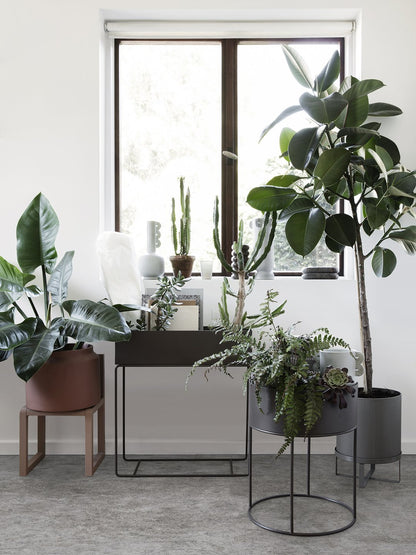Plant Box by ferm LIVING