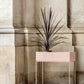 Plant Box - Small by ferm LIVING