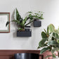 Wall Box - Rectangular by ferm LIVING