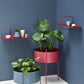 Pidestall Planter (Medium) by Woud